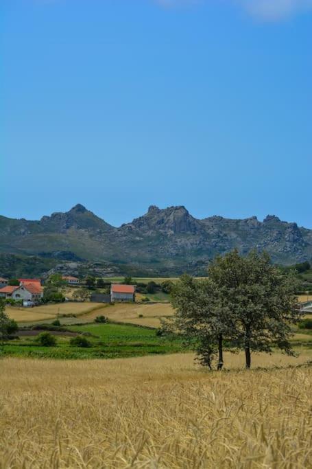 Casa Fonte Fria Villa Pitoes das Junias Eksteriør bilde